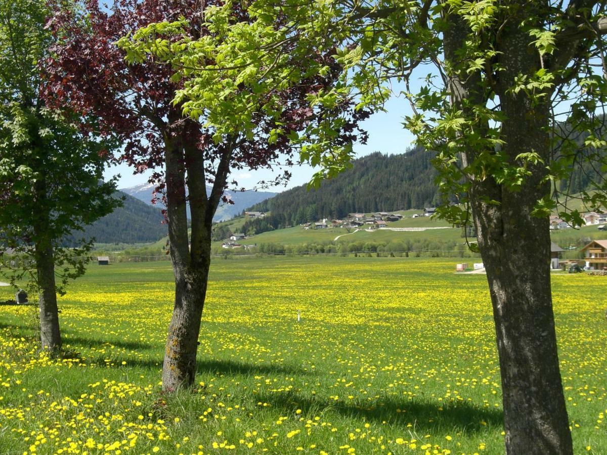 Faltnerhof Planca di Sopra Zewnętrze zdjęcie